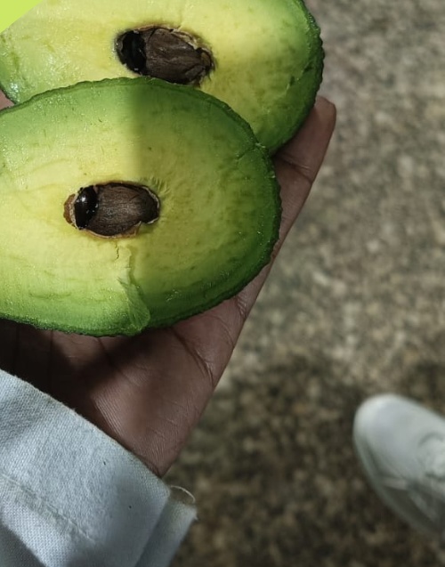 Sliced Avocado